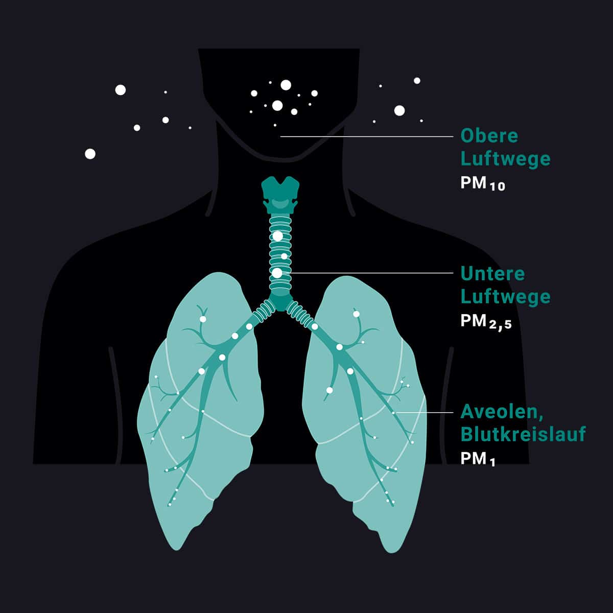 Gesundheitsrisiken beim Schweißen ohne Absaugung