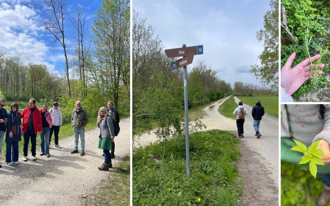 8 WERKER stand in the forest…🌳