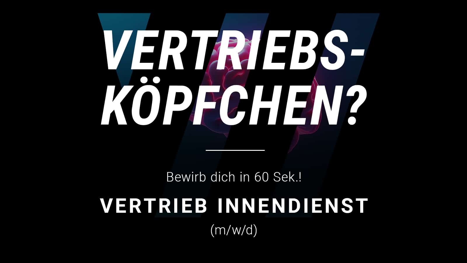 🧠 Vertriebsköpfchen gesucht