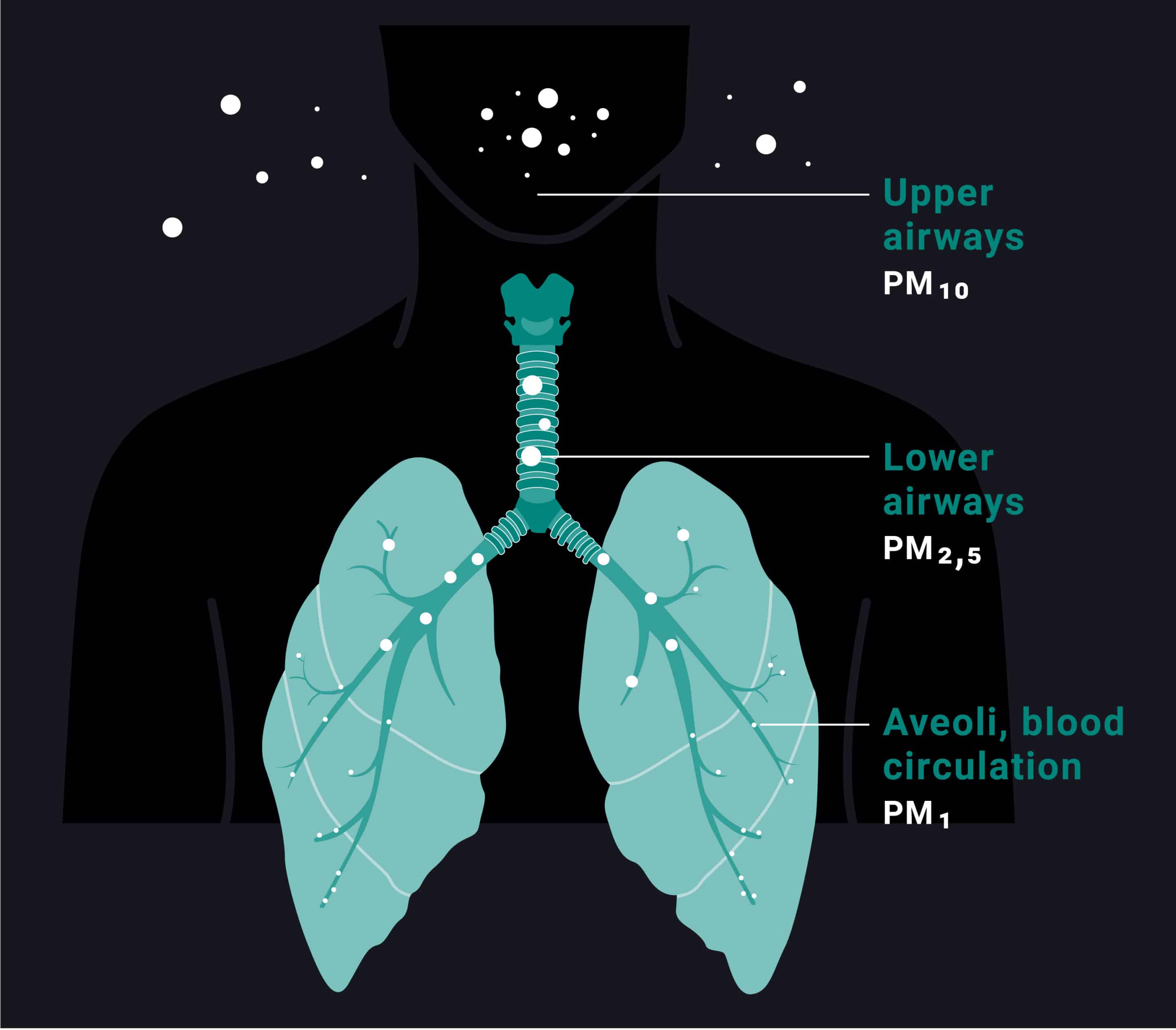 Health risks when welding without extraction