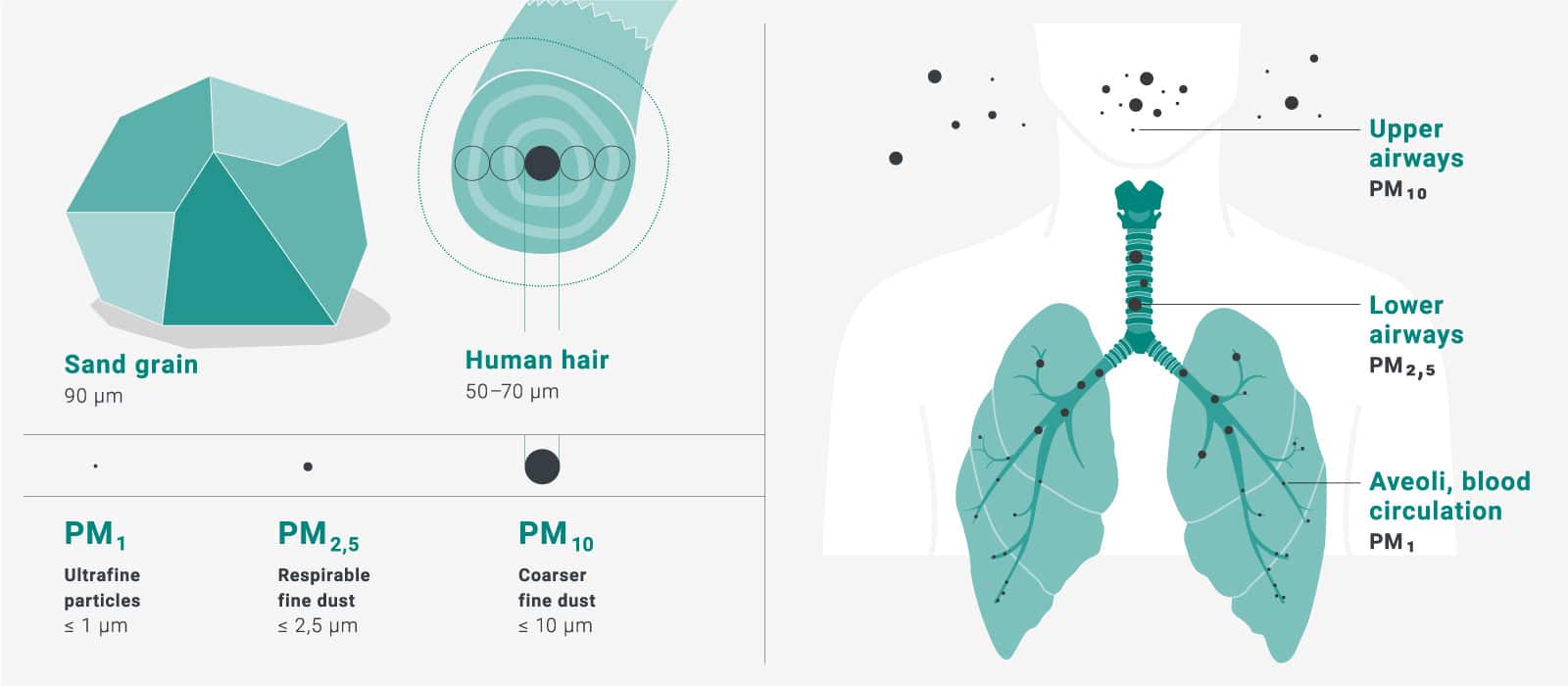Lugares de trabajo saludables en las empresas de producción