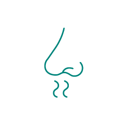 ABSAUGWERK Icon Keine Gerüche